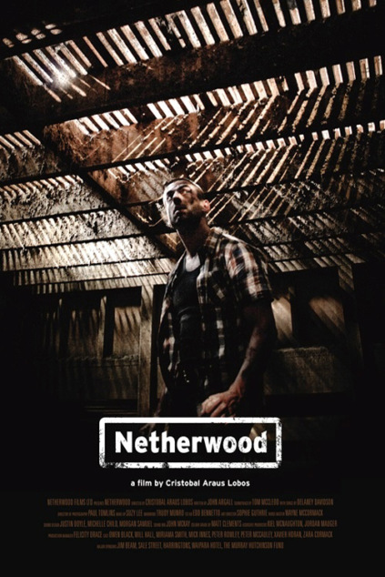 Netherwood Technical Specifications