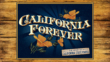 California Forever | ShotOnWhat?