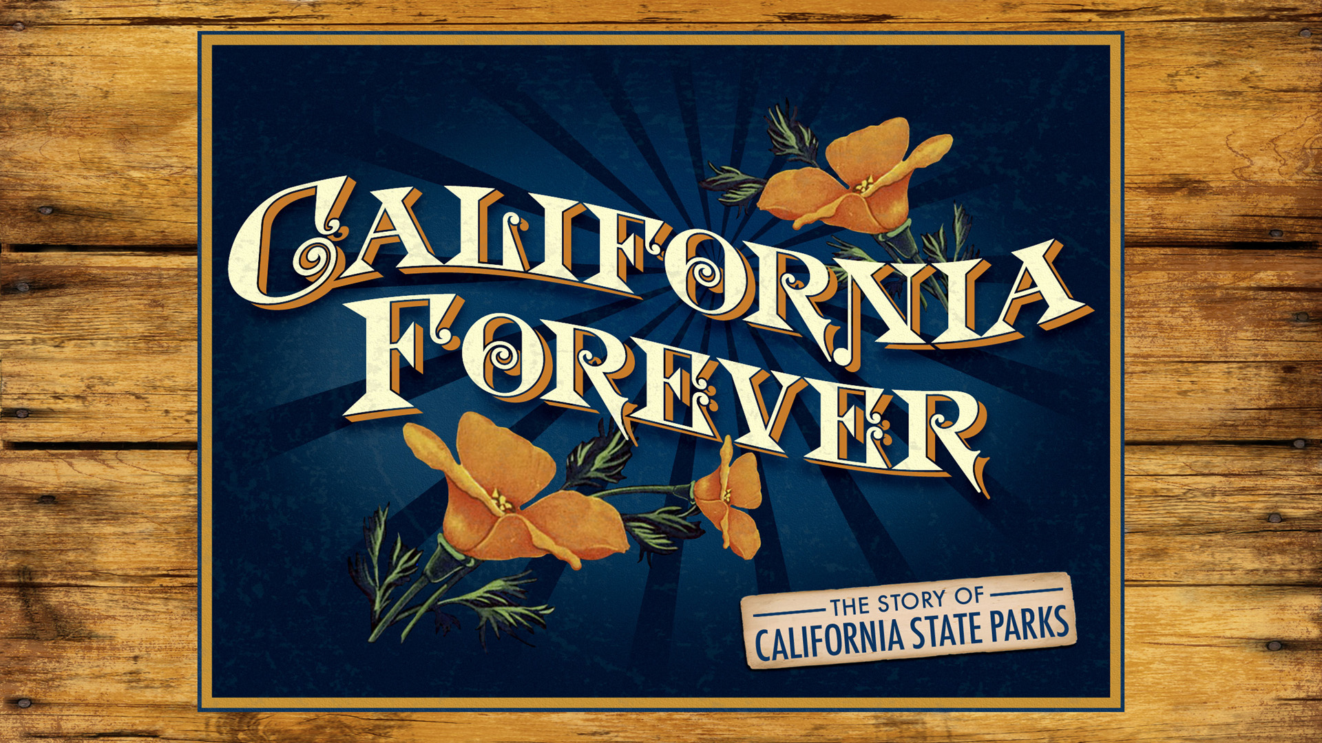 California Forever