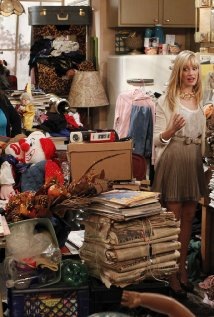 "2 Broke Girls" And Hoarder Culture Technical Specifications