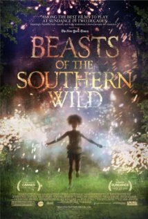 Beasts of the Southern Wild Technical Specifications