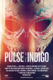 Pulse of the Indigo Technical Specifications