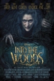 Into the Woods | ShotOnWhat?