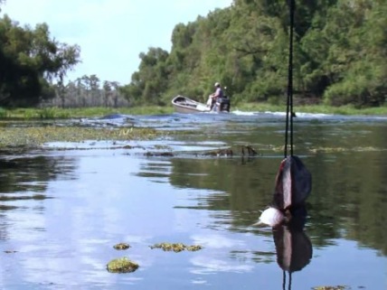 "Swamp People" Under Siege Technical Specifications