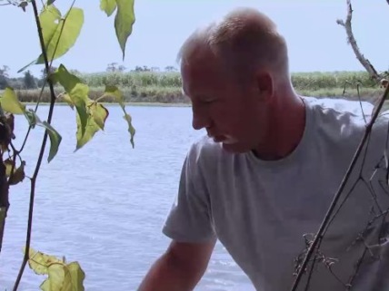 "Swamp People" Avenged Technical Specifications