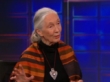 "The Daily Show" Jane Goodall | ShotOnWhat?