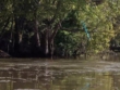 "Swamp People" Big Gators, Big Dollars | ShotOnWhat?