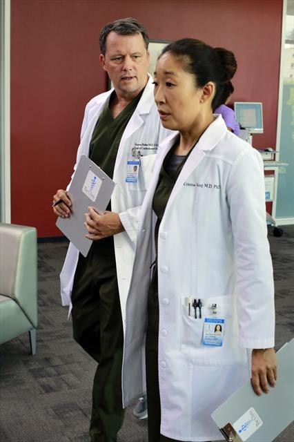 "Grey's Anatomy" Love the One You're With