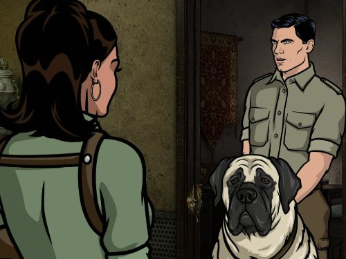 "Archer" Un Chien Tangerine