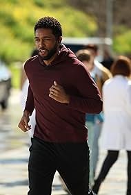 "Grey’s Anatomy" Shadow of Your Love Technical Specifications