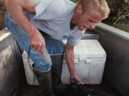 "Swamp People" Blood Lines Technical Specifications