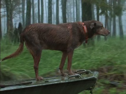 "Swamp People" Lightning Strikes Technical Specifications