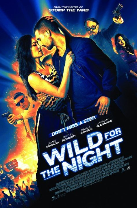 Wild for the Night (2015) Technical Specifications