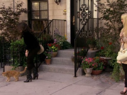 "2 Broke Girls" And the Kitty Kitty Spank Spank Technical Specifications