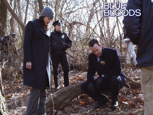 "Blue Bloods" Manhattan Queens