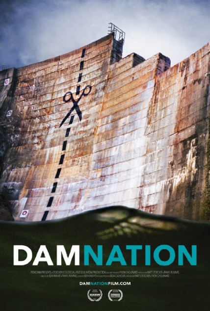 DamNation Technical Specifications