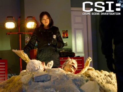 "CSI: Crime Scene Investigation" De Los Muertos Technical Specifications