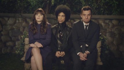 "New Girl" Prince Technical Specifications