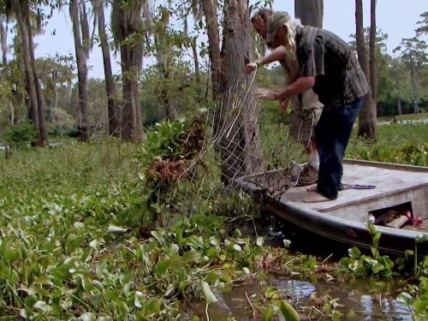 "Swamp People" Hooked Technical Specifications