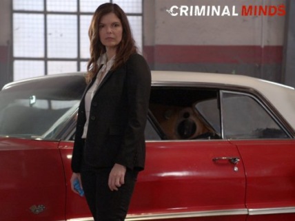 "Criminal Minds" Fatal Technical Specifications