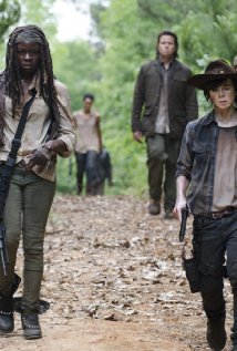 &quot;The Walking Dead&quot; Strangers