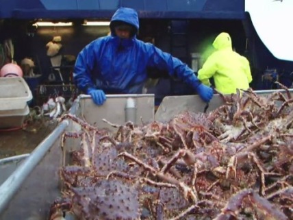 "Deadliest Catch" Family Affair Technical Specifications