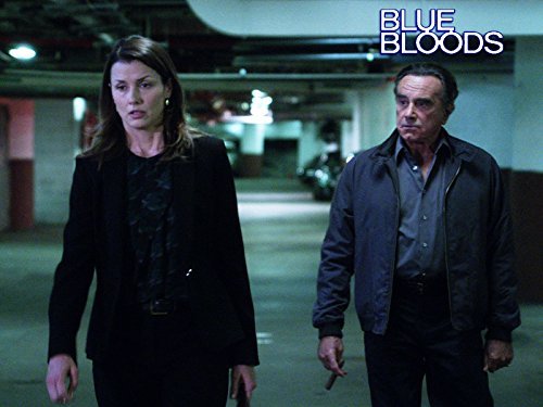 "Blue Bloods" With Friends Like These