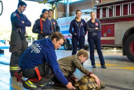 "Chicago Fire" When Tortoises Fly Technical Specifications