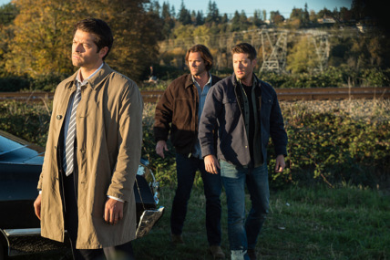 "Supernatural" LOTUS Technical Specifications