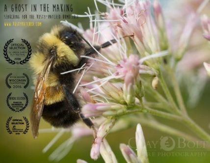 A Ghost in the Making: Searching for the Rusty-patched Bumble Bee Technical Specifications