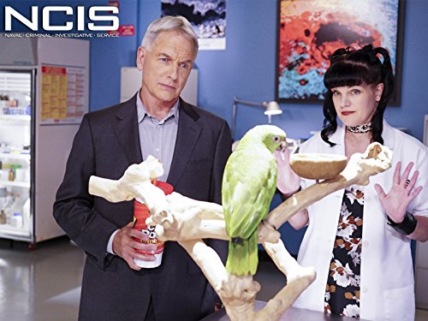 "NCIS" Privileged Information Technical Specifications