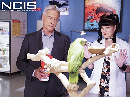 "NCIS" Privileged Information