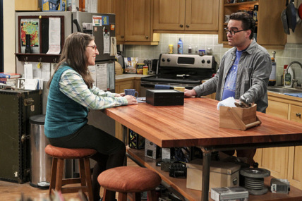 "The Big Bang Theory" The Hot Tub Contamination Technical Specifications