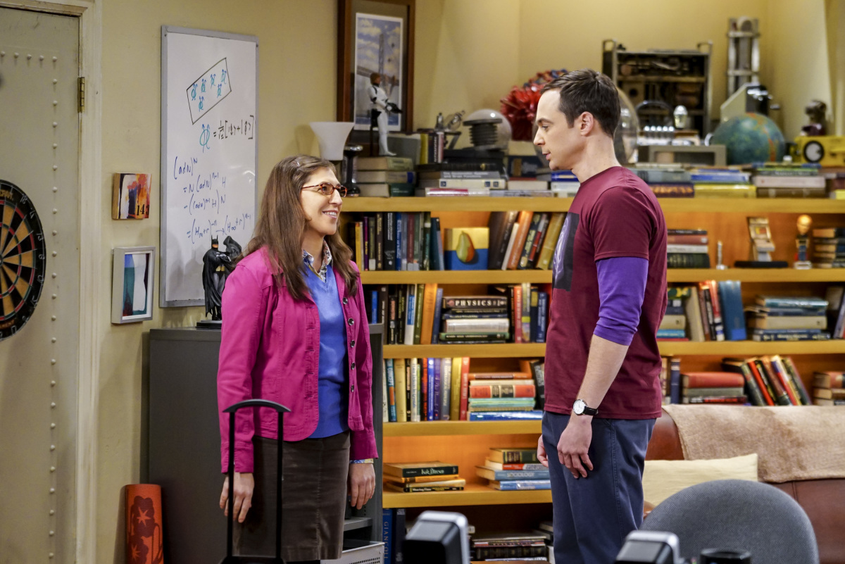 "The Big Bang Theory" The Romance Recalibration