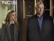 "NCIS" Nonstop | ShotOnWhat?