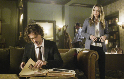 "Criminal Minds" Green Light Technical Specifications