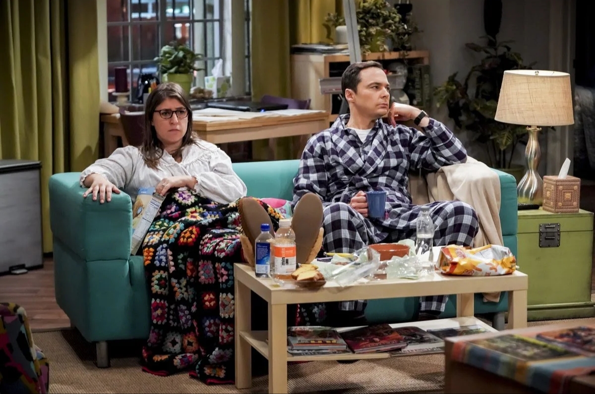 "The Big Bang Theory" The Citation Negation