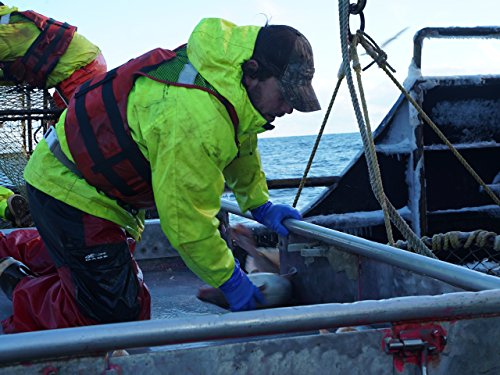 "Deadliest Catch" Hurricane Alley