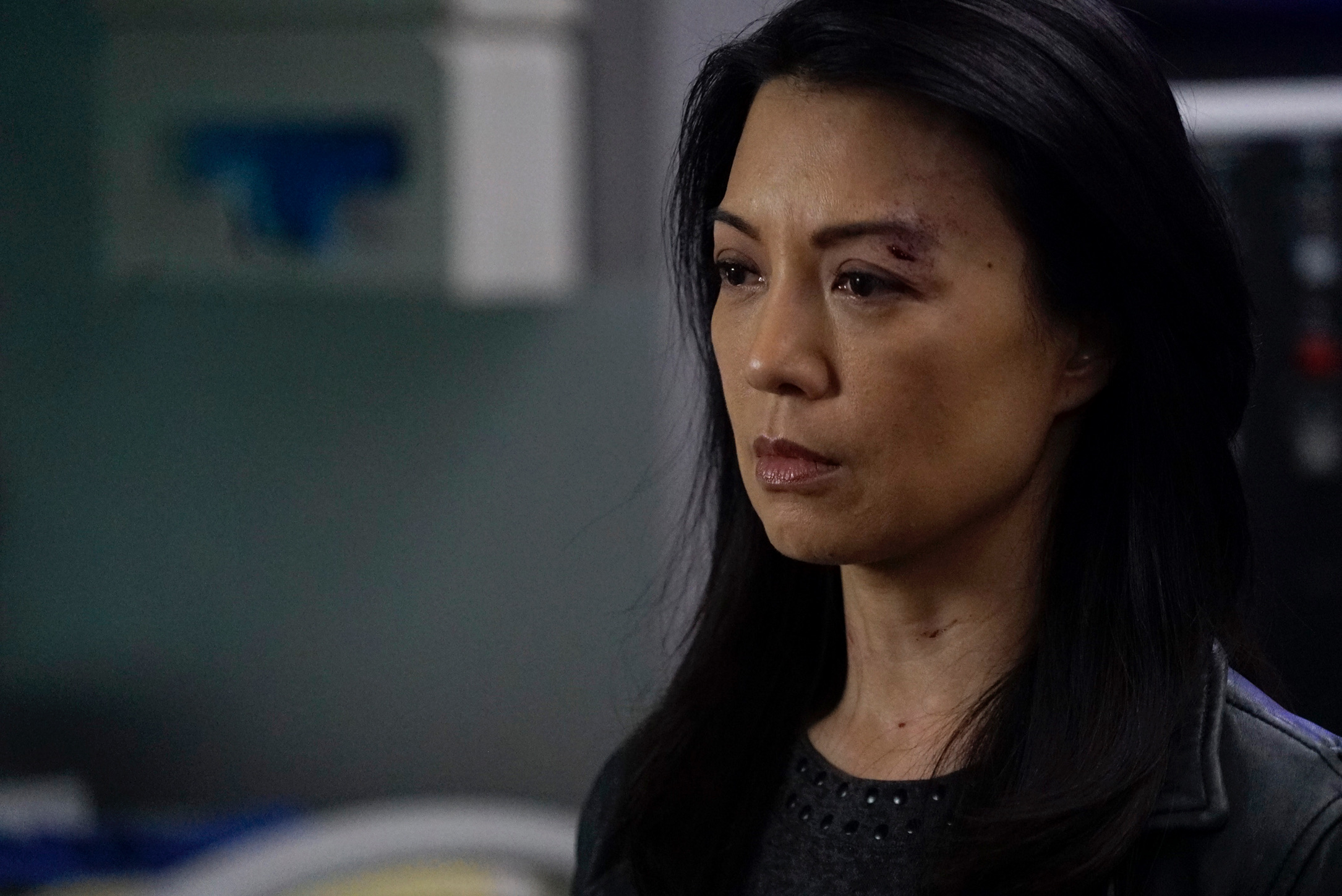&quot;Agents of S.H.I.E.L.D.&quot; The End