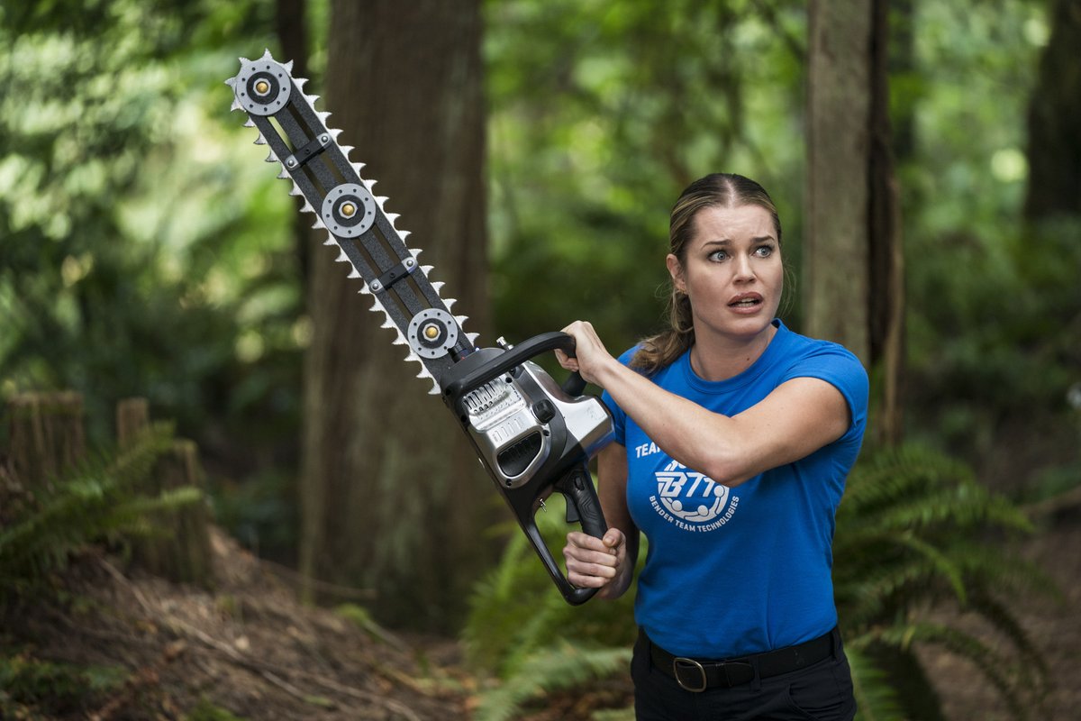 &quot;The Librarians&quot; And the Disenchanted Forest
