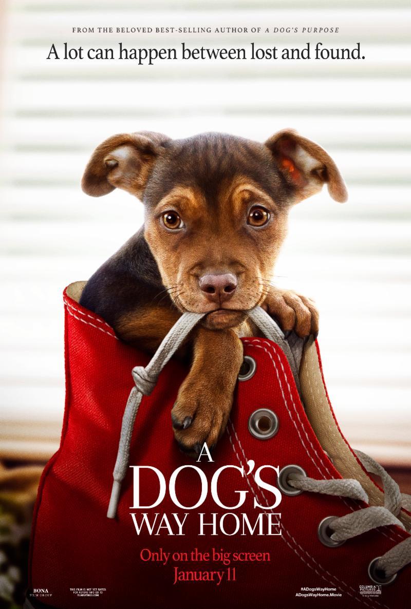 A Dog's Way Home (2019)  Technical Specifications