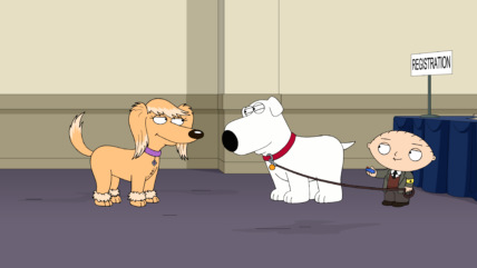 "Family Guy" Boy (Dog) Meets Girl (Dog) Technical Specifications