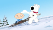 "Family Guy" Dog Bites Bear | ShotOnWhat?