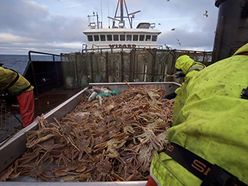 &quot;Deadliest Catch&quot; No Safe Harbor